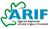 Arif