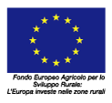 Comunita-europea
